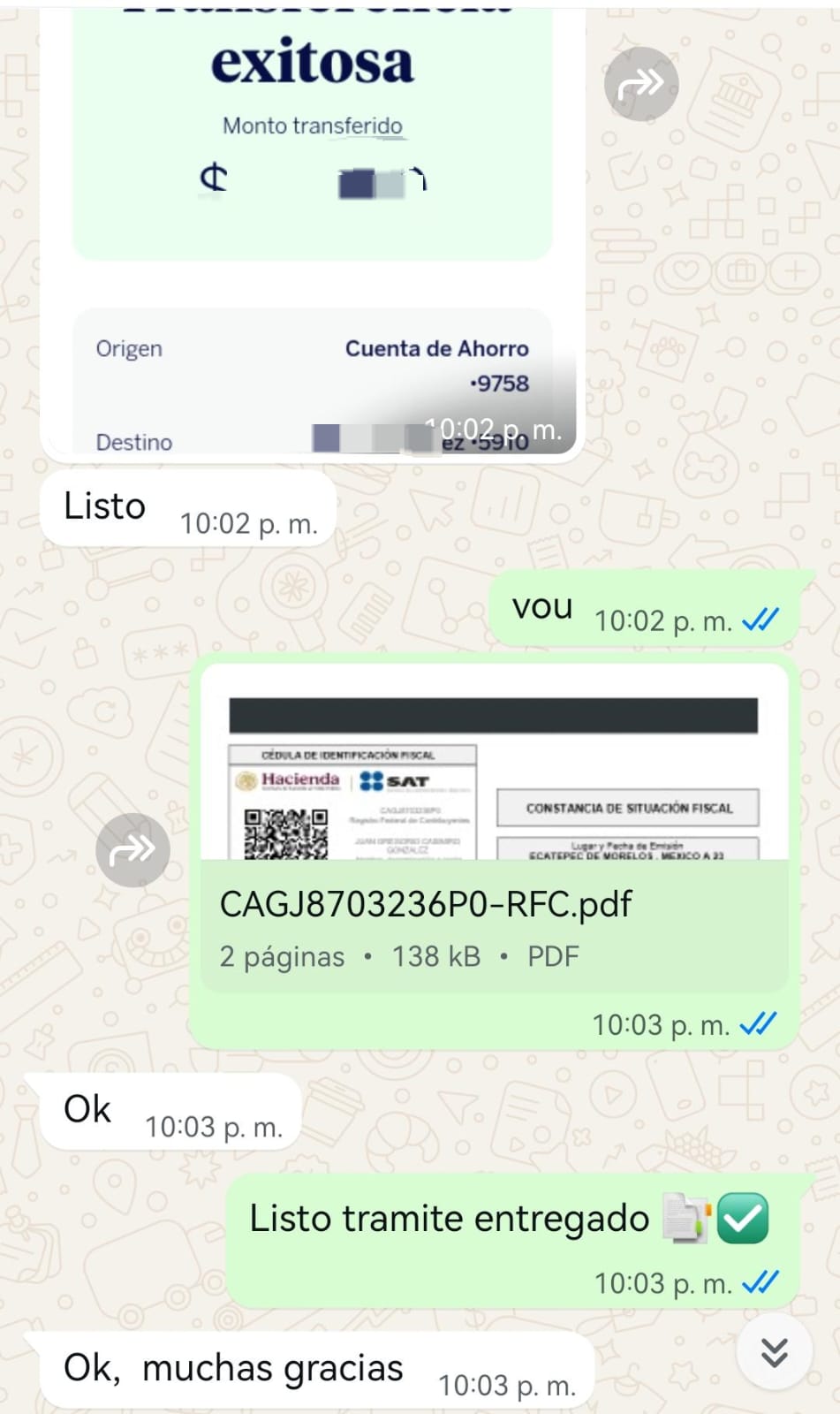 Opinión de cliente sobre trámites en línea en México